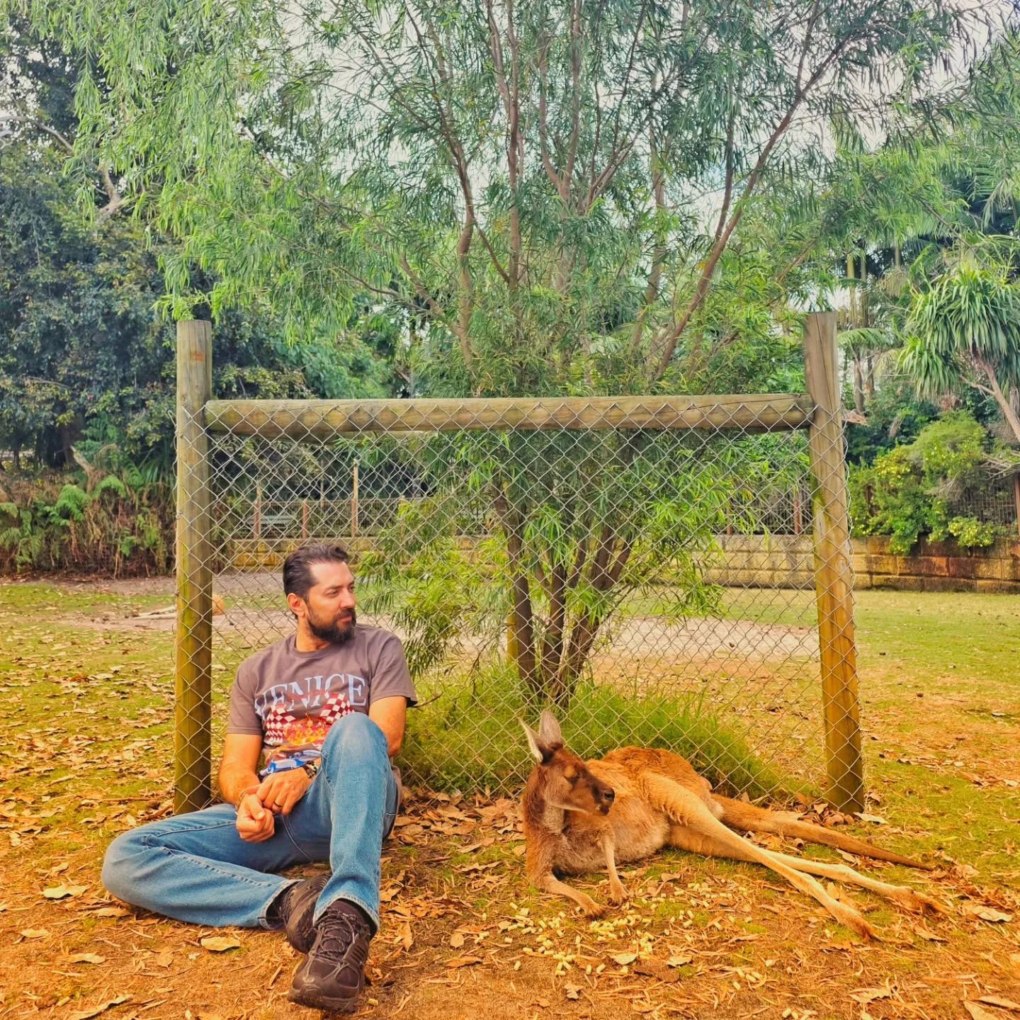 دیدار صمیمی بهرام رادان با کانگوروی استرالیایی کاربران را شگفتزده کرد! دیدار صمیمی بهرام رادان با کانگوروی استرالیایی کاربران را شگفتزده کرد!